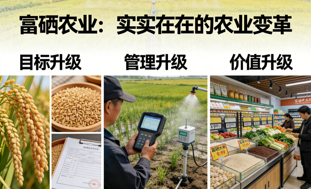 d5fbc7315e319e24f0c4ca7544043dc9_640_wx_fmt=png&from=appmsg&tp=webp&wxfrom=5&wx_lazy=1#imgIndex=13.png d5fbc7315e319e24f0c4ca7544043dc9_640_wx_fmt=png&from=appmsg&tp=webp&wxfrom=5&wx_lazy=1#imgIndex=13.png