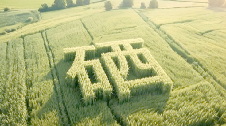 66d0ad21d04aa3f9b13adf8a9b760689_640_wx_fmt=png&from=appmsg&tp=webp&wxfrom=5&wx_lazy=1#imgIndex=3.png 66d0ad21d04aa3f9b13adf8a9b760689_640_wx_fmt=png&from=appmsg&tp=webp&wxfrom=5&wx_lazy=1#imgIndex=3.png